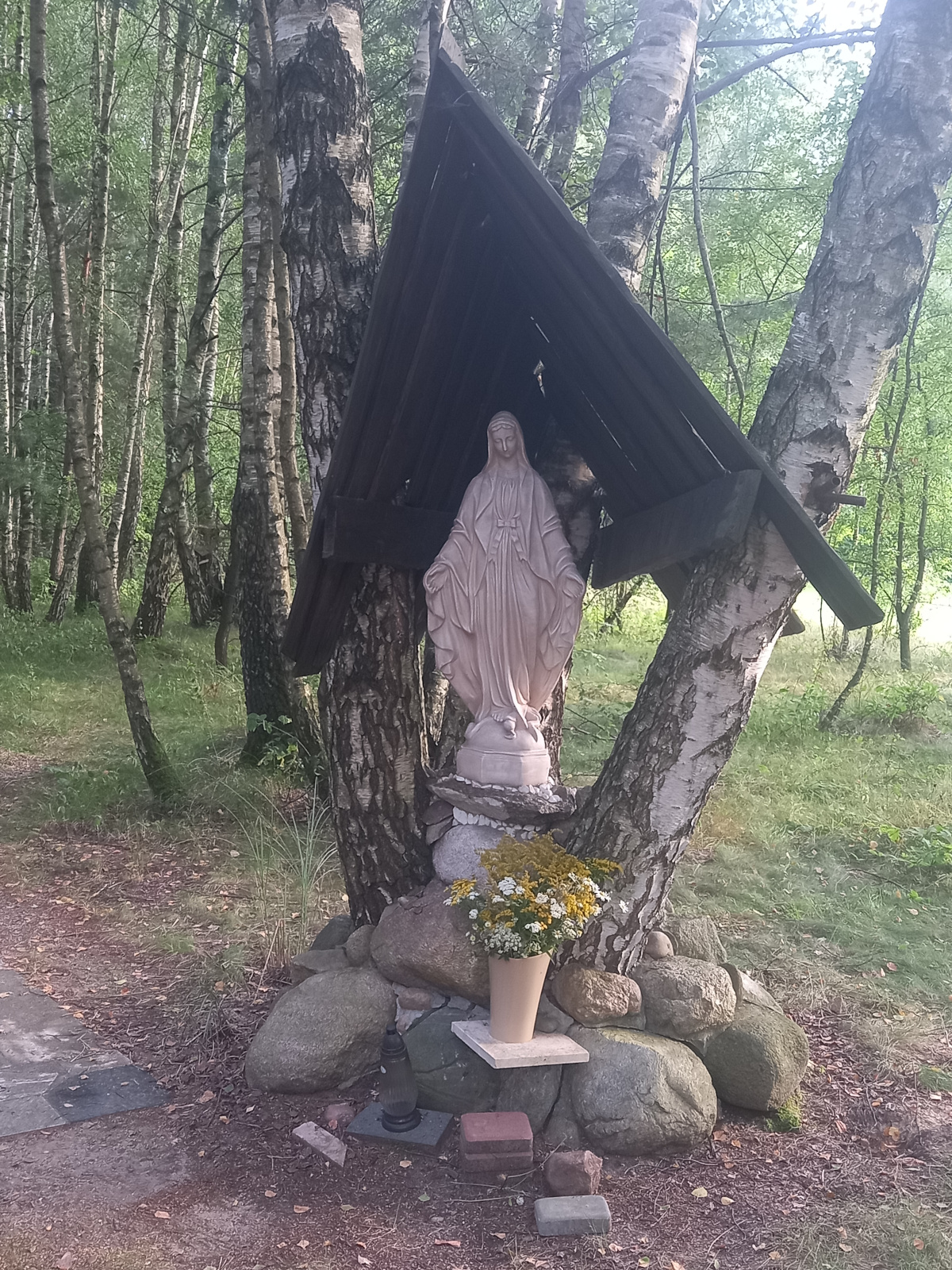 <?= basename($img) ?>