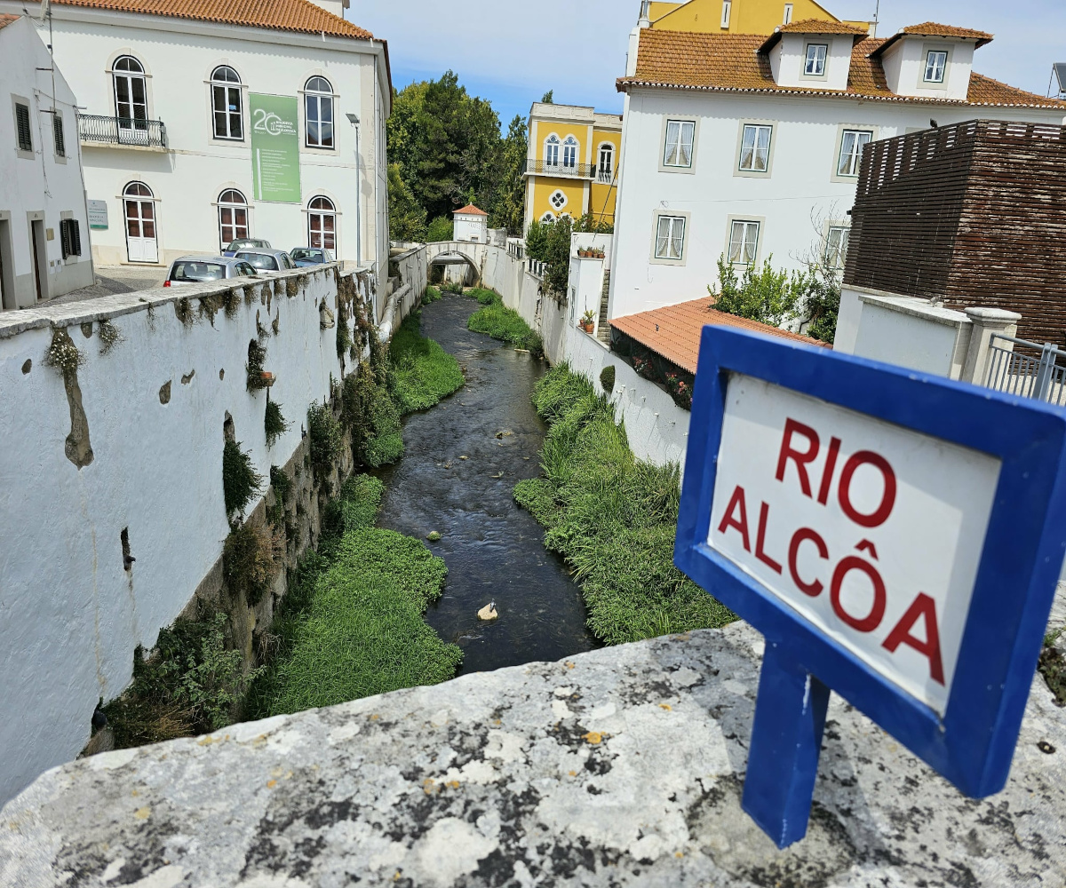 <?= basename($img) ?>